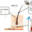 골드약국 이미지