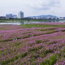 여주-1079 이미지