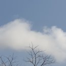 대청면사무소 이미지