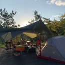 예손농원캠핑장 이미지