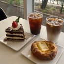 용인 대형카페 떼레노시떼 스페셜점 주차 메뉴 후기