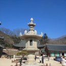 단성마트 | 화엄사와 섬진강, 그리고 매화.