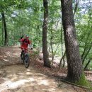 우면산7-2-5 이미지