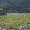 평창 수항리사지 이미지