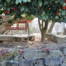 고향(故鄕) 바라보다 | 전라도정자詩로 만난 인물(959)-심유 (沈攸 )