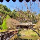 현내리 도원정사 이미지