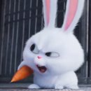 마이펫30 이미지
