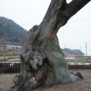 남해-276 이미지