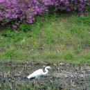 창우농장 이미지