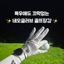 (주)디자인컴퍼니프레즌트 | 🧤(주)더컴퍼니 네오글러브 골프장갑 리뷰⛳