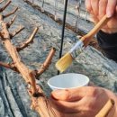 훈이농장 이미지