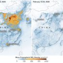 이런 중국 처음" 코로나에 공기 '깨끗' 이미지
