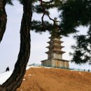 중앙탑공원 이미지