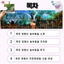 옥천 장령산자연휴양림 숲속동굴 주차장 위치 시간