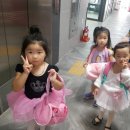 라엘무용학원 이미지