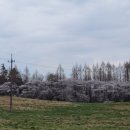 태수목장 이미지