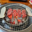 토반 이미지