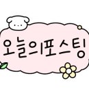 따시곰 이미지