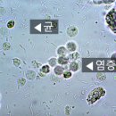 사이언스비뇨의학과의원 이미지