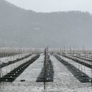 연지시장 이미지