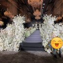 (주)서울렉스호텔 | 더 링크 서울 호텔 식장 4층 플라자홀 웨딩 하객&amp;뷔페 후기