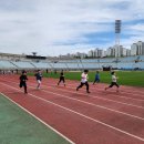 신용초교 이미지