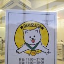 [홍대미용실] 아망뜨헤어에서 모발클리닉 후기