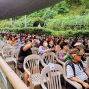 장미의거리5 이미지