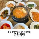 붐비네식당 | 양지파인cc 근처 로컬 맛집 용인 금성식당