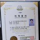 인성 스토리텔러 (자격증) | 초등학교 / 청소년 학교폭력예방교육 공연 후기(LED쇼, 그림자, 샌드아트)