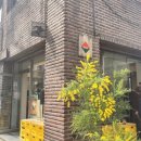 메쉬커피(MESH COFFEE) 이미지