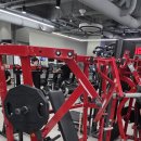 (급처)해머 와이드체스트, 뉴텍 인클벤치, 라이프 토르소 머신 팝니다. 이미지