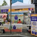 용인중앙시장 이미지