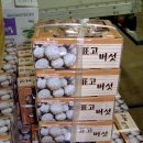 원천농장 이미지