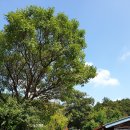 백두대간목재문화체험관 이미지