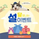 얼라이브 스튜디오 이미지