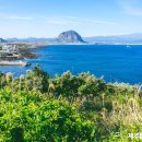 귤꽃향기 이미지