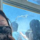 서호민박 이미지