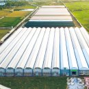 김진성농장 이미지