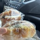 정상석 | [등산 일기] 덕유산 설산 등산 후기 (곤도라 주의사항, 향적봉 정상석)