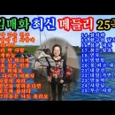 김매화 최신 메들리 25곡 이미지