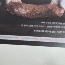 조아마트 | 예천 한우 수제육포 추천, 미화당조아 실속형 건강 간식 후기