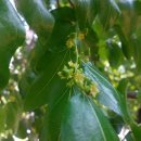 관악동작견인차량보관소 이미지