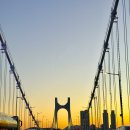 간선-58 | ICPC Asia Seoul(Busan) Regional Contest 후기 (Last Dance)