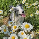 서구-02-72 이미지