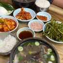 인생국밥 | 부산 용호동 맛집 합천국밥집 부산 돼지국밥 맛집 인생국밥 등극 내돈내산 후기