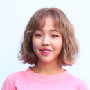 퍼피스타일 이미지
