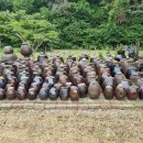 주성농장 이미지