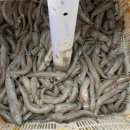 왕자식당 이미지