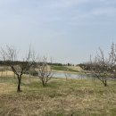 비아피 클럽 이미지